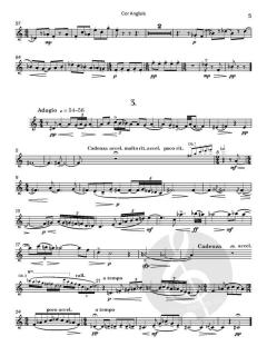Leprechauns von Arthur Butterworth (Download) 