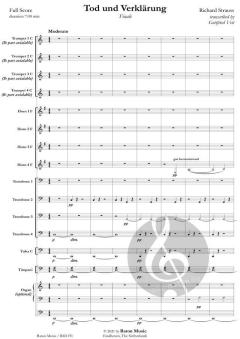 Tod und Verklärung von Strauss Richard 