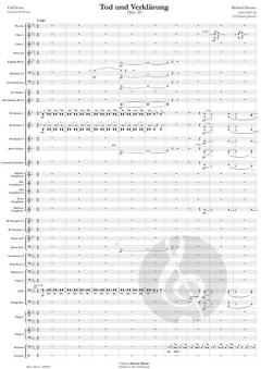 Tod und Verklärung op. 24 von Richard Strauss 