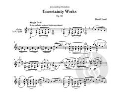 Uncertainty Works von David Braid 