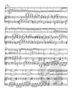 Trio von Johannes Brahms 