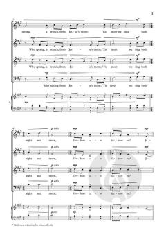 This night to us a child is born von Annabel Rooney (Download) 