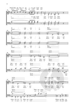 Geheimnis der Dämmerung von Reena Esmail (Download) 