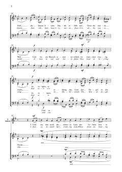 Um Mitternacht im Sternenglanz von Valerie Capers (Download) 
