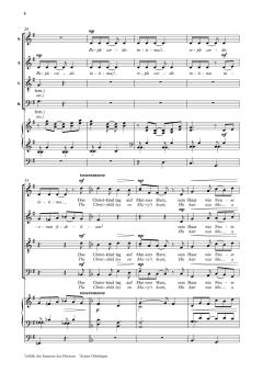 Um Mitternacht im Sternenglanz von Valerie Capers (Download) 