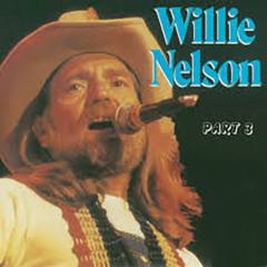 The Shelter Of Your Arms von Willie Nelson (Download) 