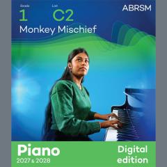 Monkey Mischief von Tamara Niekludow (Download) 