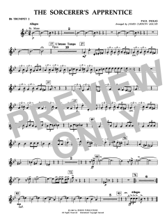 The Sorcerer's Apprentice (In Concert Series) (Download) 