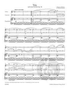 Trio von Johannes Brahms 