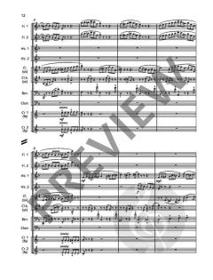 3 Tänze von Richard Strauss 