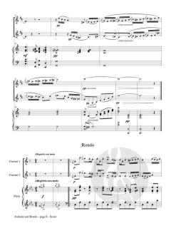 Andante and Rondo op. 25 von Franz Doppler 
