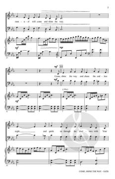 Come, Shine The Way von Stan Pethel 