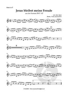 Jesus bleibet meine Freude von Johann Sebastian Bach (Download) 