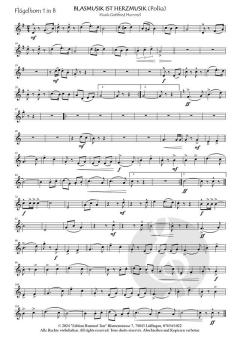 Blasmusik ist Herzmusik (Download) 