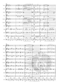 Schifoan von Wolfgang Ambros (Download) 