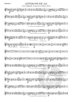 Cotton eye joe 2.0. (Download) 