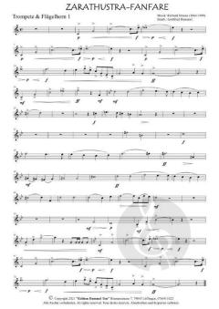 Zarathustra Fanfare von Richard Strauss (Download) 