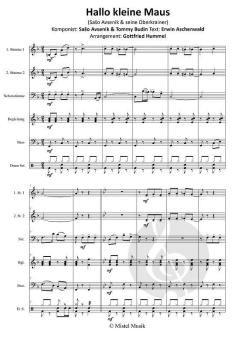 Hallo kleine Maus von Sašo Avsenik (Download) 