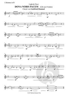 Dona Nobis Pacem - Gib uns Frieden (Download) 