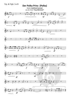 Der Polka Prinz (Polka) von Gottfried Hummel 