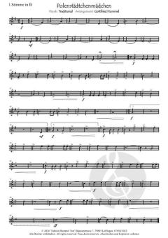 Polenstädtchenmädchen von Gottfried Hummel (Download) 