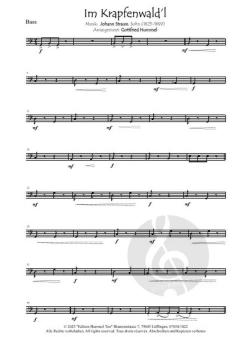 Streetlife live! Im Krapfenwald´l von Johann Strauss (Sohn) (Download) 