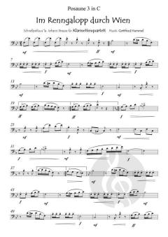 Im Renngalopp durch Wien von Gottfried Hummel (Download) 