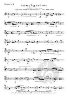 Im Renngalopp durch Wien von Gottfried Hummel (Download) 