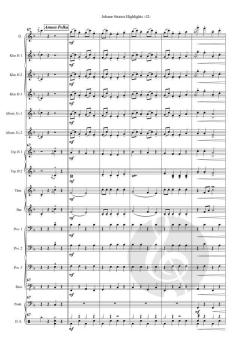 Johann Strauss Highlights von Johann Strauss (Sohn) (Download) 