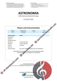 Astronomia (Coffin Dance) von Vicetone (Download) 