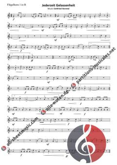 Jederzeit Gelassenheit von Gottfried Hummel (Download) 