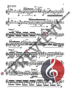 Kadenz von György Ligeti 