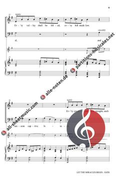 Let The Miracles Begin von Mark Shipp 
