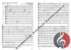 Stern der Sterne von Alfred Hochedlinger 