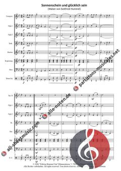 Sonnenschein und glücklich sein von Gottfried Hummel 