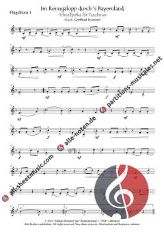 Im Renngalopp durchs Bayernland von Gottfried Hummel (Download) 