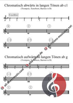 Mr.Bummbelbee's Lerninsel von Gottfried Hummel 