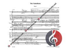Trio Variations (Dieter Mack) 