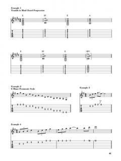 Artie Traum Teaches Essential Blues For Acoustic Guitar von Artie Traum 