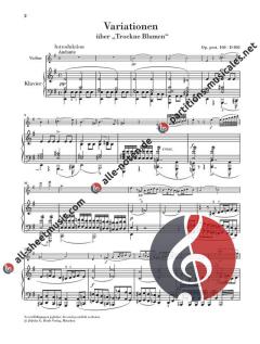 Variationen über "Trockne Blumen" e-moll op. post. 160 D 802 von Franz Schubert 