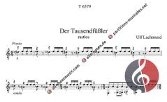 Die Wiese lebt von Ulf Lachmund 