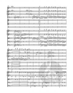 Sinfonie in c-Moll von Joseph Haydn 