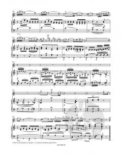 Andante in C KV 315 (285e) von Wolfgang Amadeus Mozart für Flöte und Orchester im Alle Noten Shop kaufen