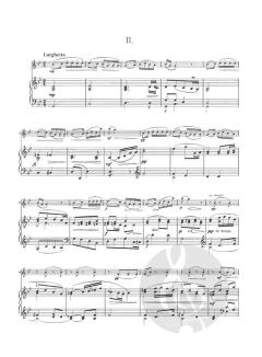 Sonatina G-major Op. 100 von Antonín Dvorák 