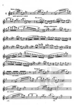 5 Studies For Fingercontrol (Frans Brüggen) 