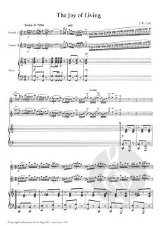 Album for 2 Piccolos-Piano (Henri Adrien Louis Kling) 