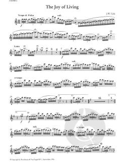 Album for 2 Piccolos-Piano (Henri Adrien Louis Kling) 