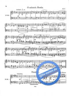 Sixty 2-Stave Voluntaries For Harmonium Set 2 von James W. Elliott 