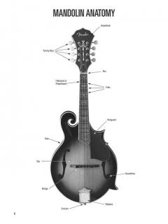 Hal Leonard Mandolin Method von Rich Delgrosso im Alle Noten Shop kaufen