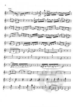 Konzert Nr. 2 d-Moll op. 22 von Henryk Wieniawski 